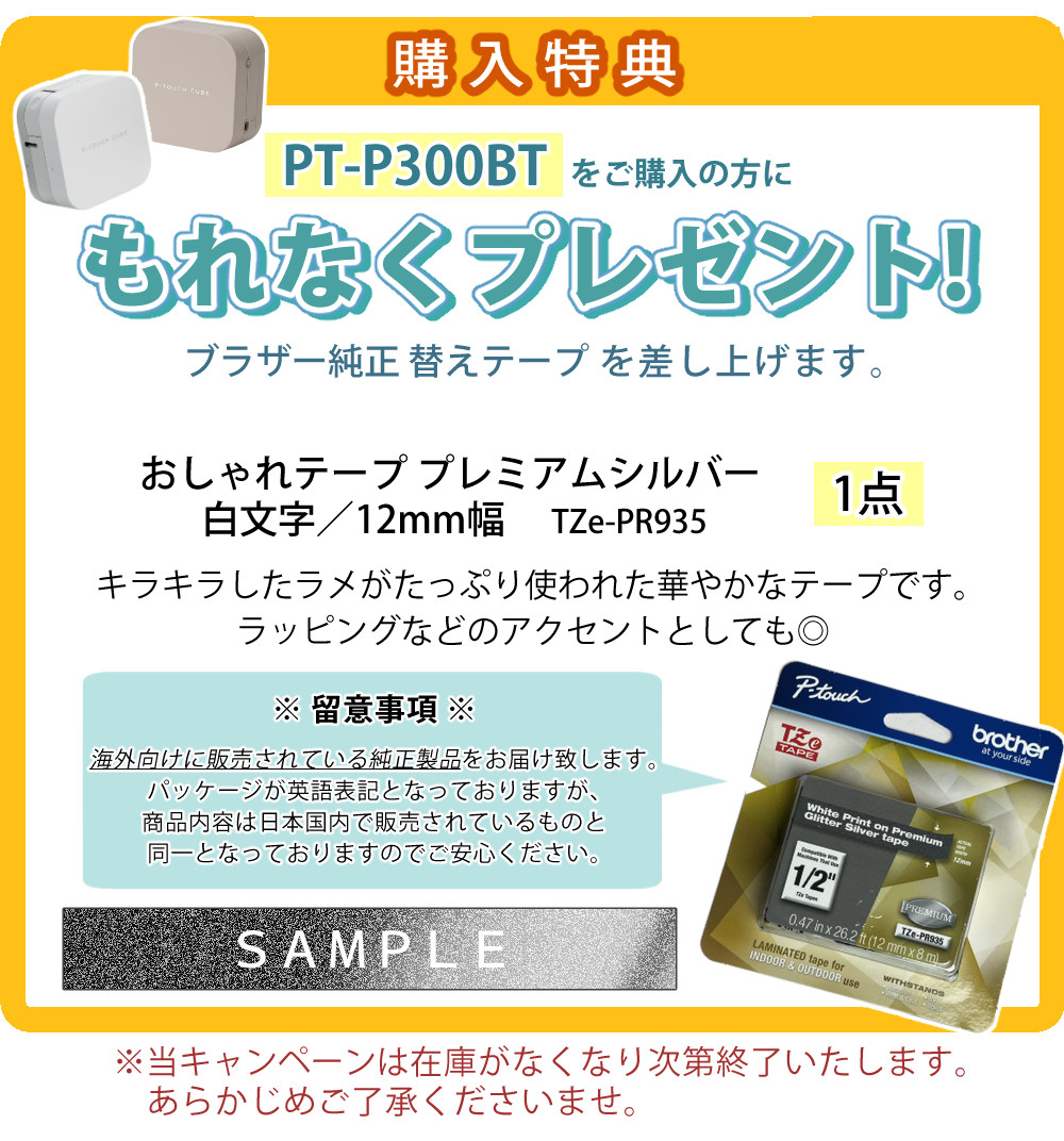 購入特典 TZe-PR935