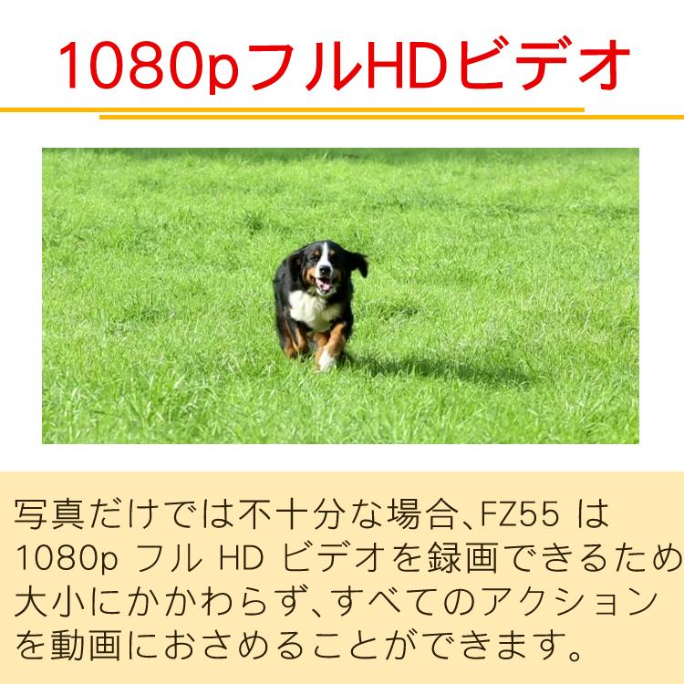 Kodak コダック デジタルカメラ FZ55 レッド/ブラック コンパクトデジタルカメラ コンデジ KODAK 5倍光学ズーム 充電池
