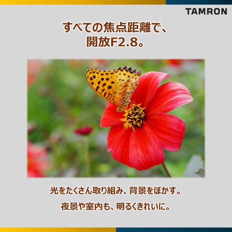 レビューでレンズキャッププレゼント タムロン 28-75mm F/2.8 Di III VXD G2 ソニーEマウント用 A063S