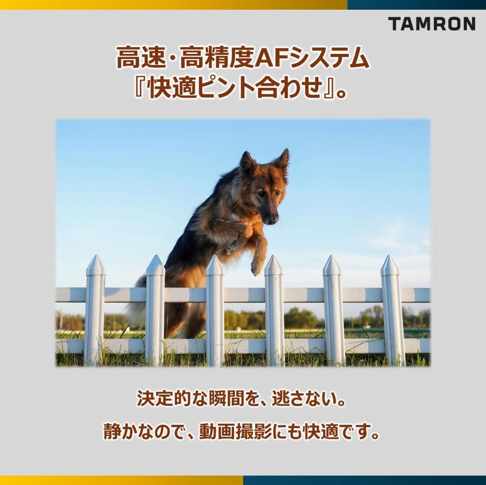 レビューでレンズキャッププレゼント タムロン 28-75mm F/2.8 Di III VXD G2 ソニーEマウント用 A063S