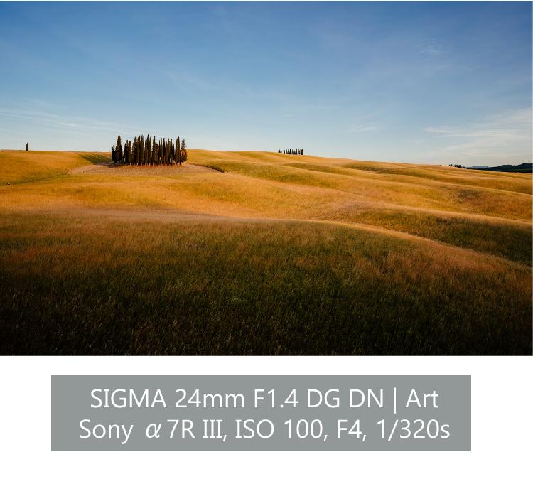レビューでレンズキャッププレゼント レンズ シグマ 24mm F1.4 DG DN  A  ソニーEマウント用