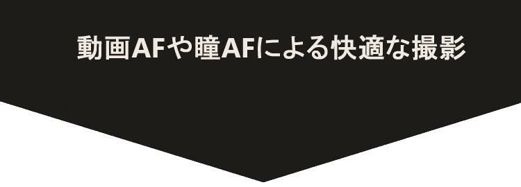 レビューでレンズキャッププレゼント  バッグ付き シグマ 100-400mm F5-6.3 DG DN OS  C  ソニーEマウント用