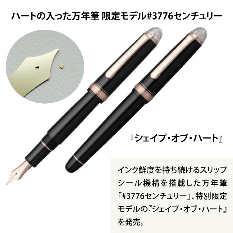 お手入れセット 数量限定 プラチナ万年筆 #3776 センチュリー シェイプ