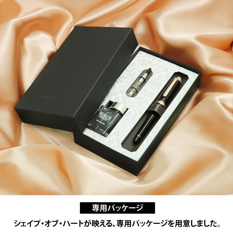 お手入れセット 数量限定 プラチナ万年筆 #3776 センチュリー シェイプオブハート PNB-31000 #1 ブラックインブラックPG 極細 細字 中字