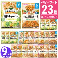 離乳食セット ベビーフード 離乳食 9ヶ月頃~ 和光堂 パウチ 23点セット  ラッピング不可  熨斗対応不可