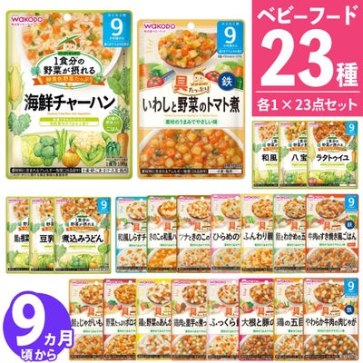 離乳食セット ベビーフード 離乳食 9ヶ月頃~ 和光堂 パウチ 23点セット  ラッピング不可  熨斗対応不可