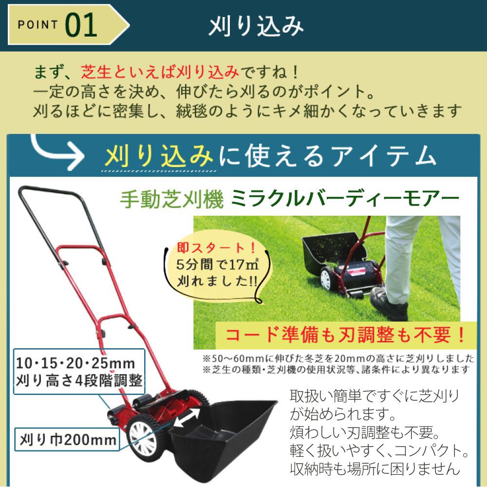初心者安心 芝生お手入れ10点セット  キンボシ 手動 芝刈機 キンボシ ハッピーバーディモアー GSB-2000H  日本製・保証1年  他 芝生鋏 ローンパンチX ローンスパイクJr レーキ 等 エアレー