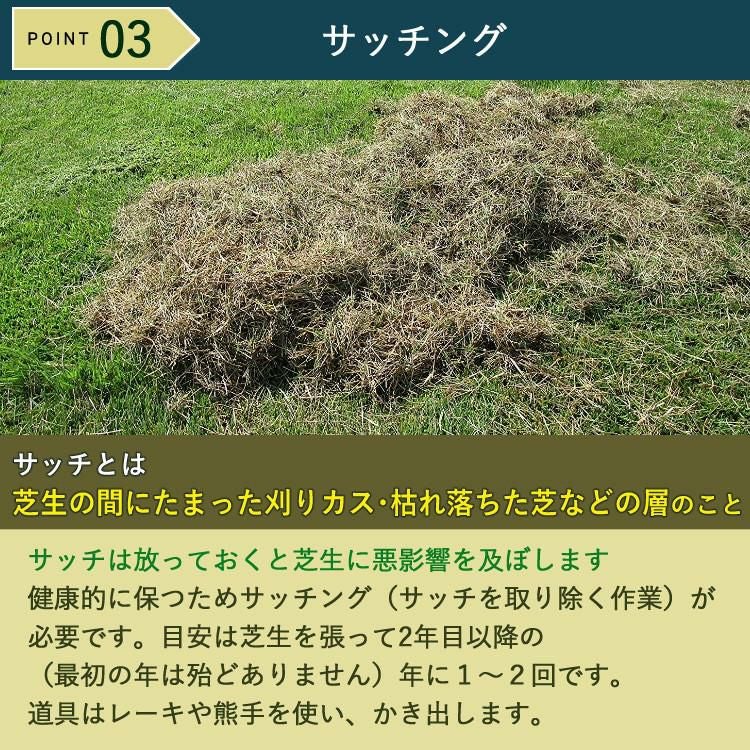 初心者安心 芝生お手入れ10点セット  キンボシ 手動 芝刈機 キンボシ ハッピーバーディモアー GSB-2000H  日本製・保証1年  他 芝生鋏 ローンパンチX ローンスパイクJr レーキ 等 エアレー