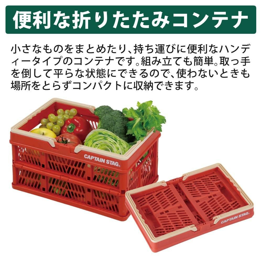 キャプテンスタッグ リュック型 クーラーバッグ ＆ FDハンディコンテナ Sサイズ  2個  セット  カラー選択式  CAPTAINSTAG ラッピング不可