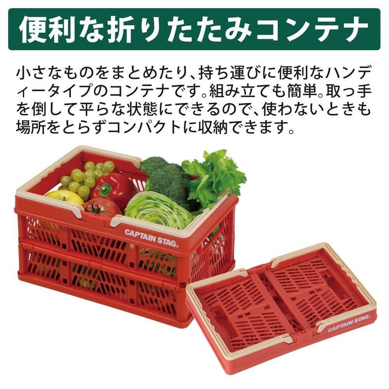 キャプテンスタッグ リュック型 クーラーバッグ ＆ FDハンディコンテナ Sサイズ  2個  セット  カラー選択式  CAPTAINSTAG ラッピング不可