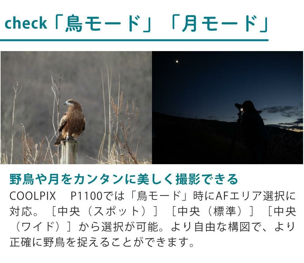 SD・レンズフィルター・クロス付 <br> 新品  Nikon ニコン コンパクトデジタルカメラ COOLPIX P1000 クールピクス 1605万画素 手ブレ補正 高画質 3000mm相当 光学125倍 超望遠ズーム 4K動画撮影 RAW NRW 対応 野鳥撮影 月 惑星 天体