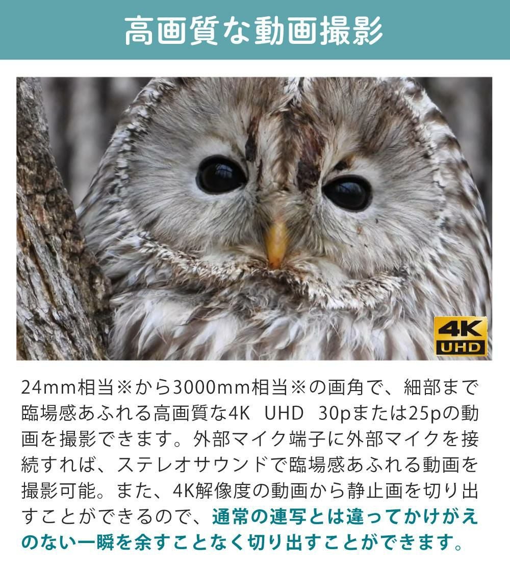 SD・レンズフィルター・クロス付 <br> 新品  Nikon ニコン コンパクトデジタルカメラ COOLPIX P1000 クールピクス 1605万画素 手ブレ補正 高画質 3000mm相当 光学125倍 超望遠ズーム 4K動画撮影 RAW NRW 対応 野鳥撮影 月 惑星 天体