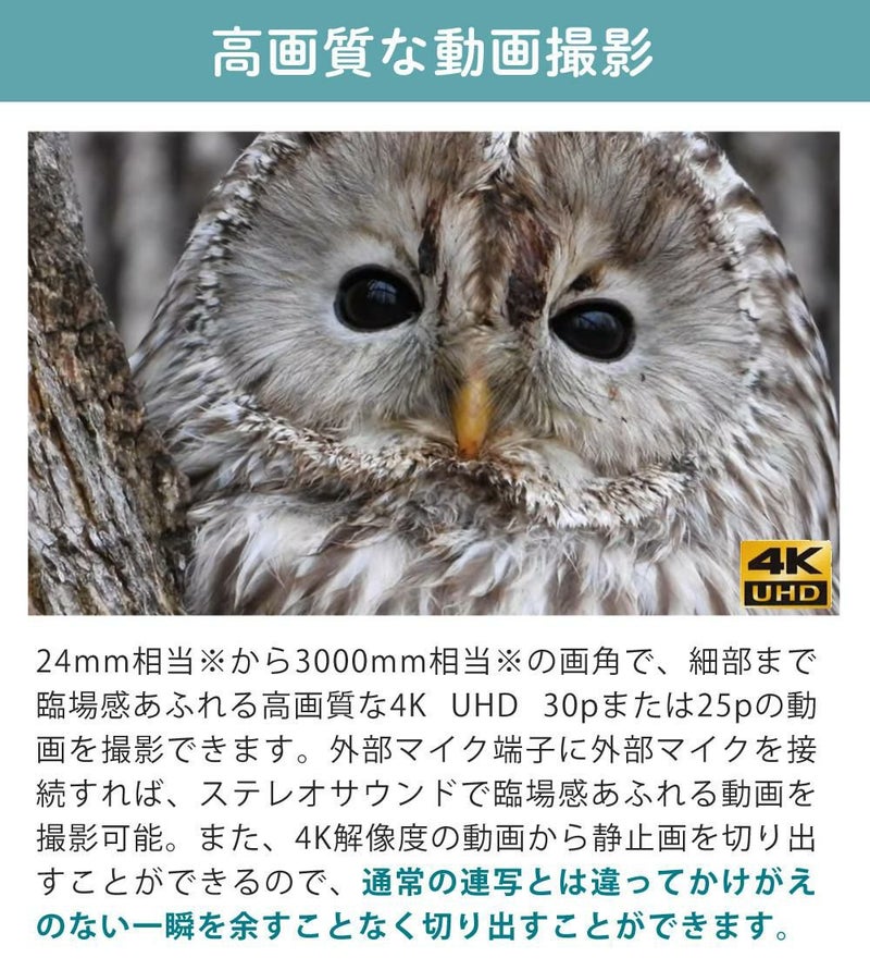 SD・レンズフィルター・クロス付 <br> 新品  Nikon ニコン コンパクトデジタルカメラ COOLPIX P1000 クールピクス 1605万画素 手ブレ補正 高画質 3000mm相当 光学125倍 超望遠ズーム 4K動画撮影 RAW NRW 対応 野鳥撮影 月 惑星 天体