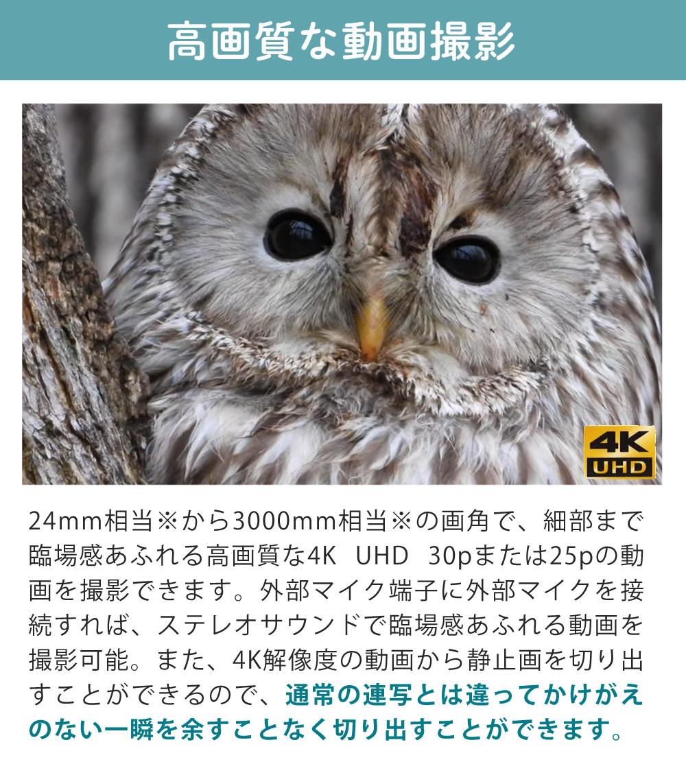 SD・レンズフィルター・クロス付 <br> 新品  Nikon ニコン コンパクトデジタルカメラ COOLPIX P1000 クールピクス 1605万画素 手ブレ補正 高画質 3000mm相当 光学125倍 超望遠ズーム 4K動画撮影 RAW NRW 対応 野鳥撮影 月 惑星 天体