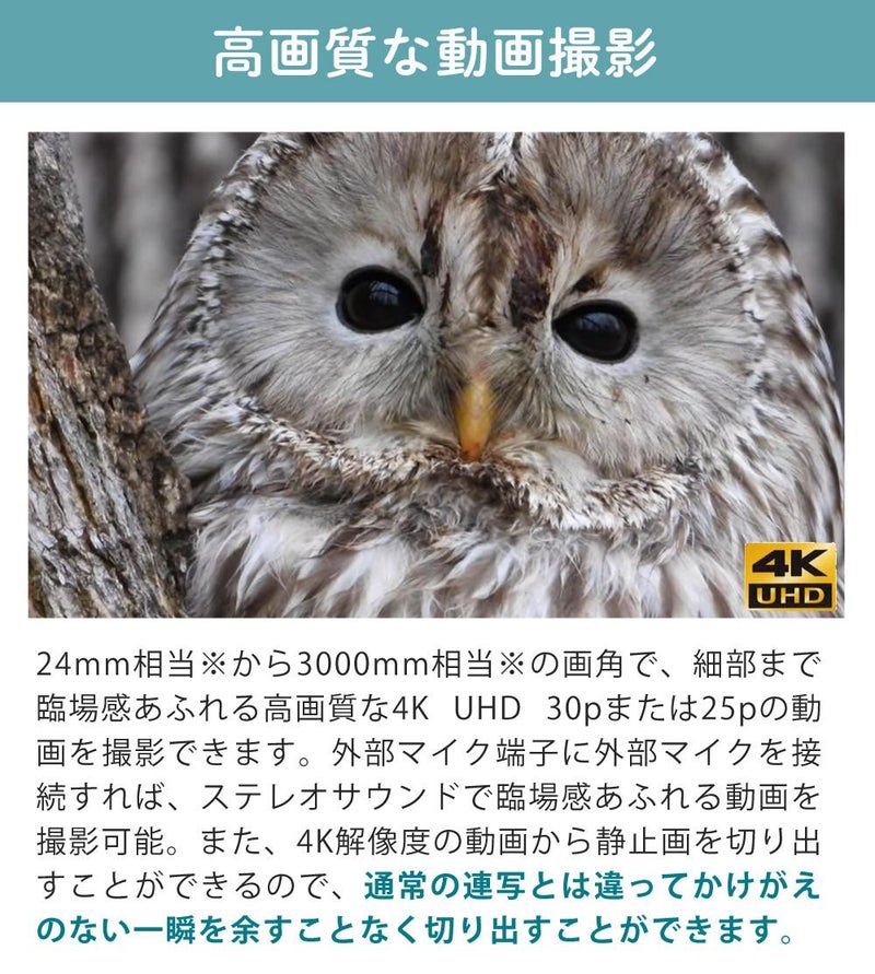 SD・レンズフィルター・クロス付 <br> 新品  Nikon ニコン コンパクトデジタルカメラ COOLPIX P1000 クールピクス 1605万画素 手ブレ補正 高画質 3000mm相当 光学125倍 超望遠ズーム 4K動画撮影 RAW NRW 対応 野鳥撮影 月 惑星 天体