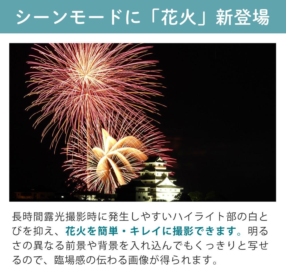 ニコン コンパクトデジタルカメラ COOLPIX P1100 高画質1605万画素 手