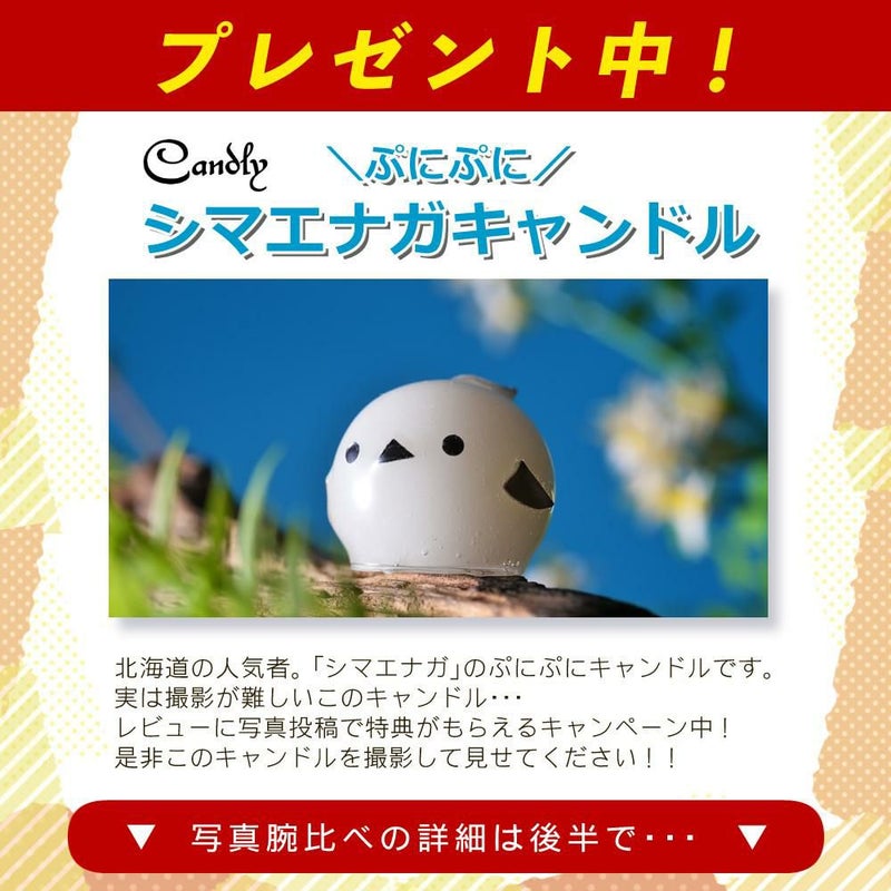 レビューでプレゼント  強化ガラス保護フィルターセット タムロン 28-200mm F/2.8-5.6 Di III RXD ソニーEマウント A071SF