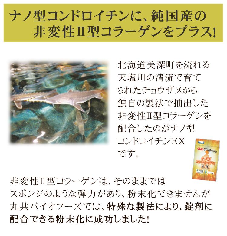 製法特許取得  ナノ型コンドロイチンEX 62粒 サプリ 1ヶ月分 丸共バイオフーズ 非変性II型コラーゲン配合 健康サプリ 栄養補助 サプリメント コンドロイチン コラーゲン コラーゲンペプチド  メール便可：10点まで  ラッピング不可