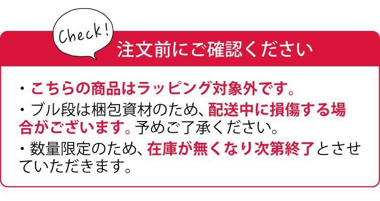 限定カラー＆ヘルメット付き コンテナ入り限定セット bruder ブルーダー MAN消防車 BR01760 車 海外製 本格的 かっこいい 大きい ミニカー 動く プレゼント おもちゃ クリスマス ラッピング不可