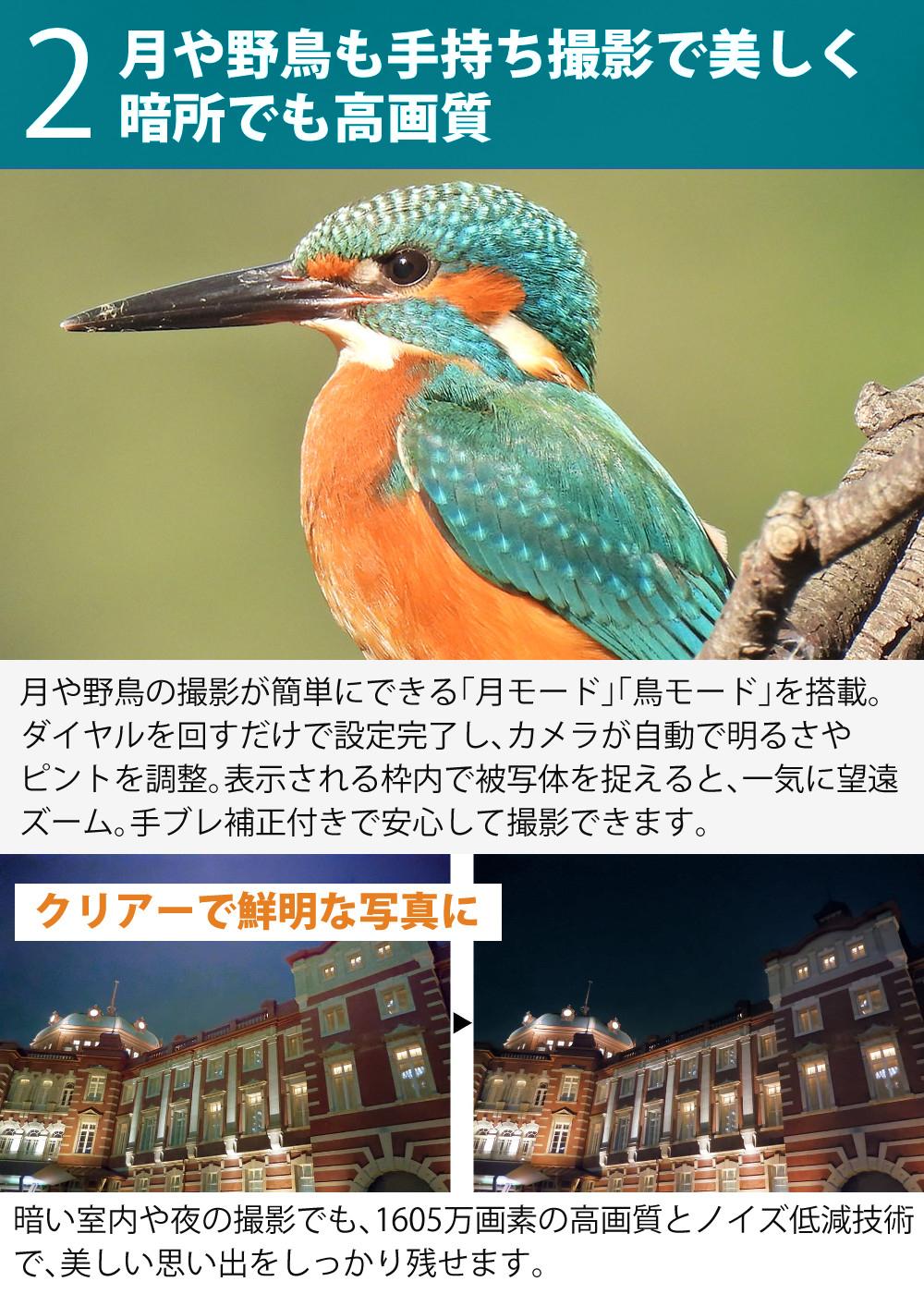 SD・レンズフィルター・クロス付 <br> 新品  Nikon ニコン コンパクトデジタルカメラ COOLPIX P950 クールピクス 1605万画素 手ブレ補正 高画質 2000mm相当 光学83倍 超望遠ズーム 4K動画撮影 RAW NRW 対応 野鳥撮影 月 惑星 天体