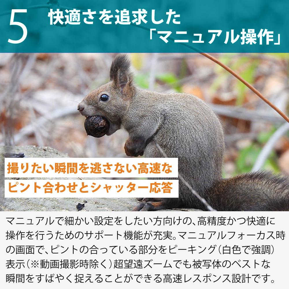 SD・レンズフィルター・クロス付 <br> 新品  Nikon ニコン コンパクトデジタルカメラ COOLPIX P950 クールピクス 1605万画素 手ブレ補正 高画質 2000mm相当 光学83倍 超望遠ズーム 4K動画撮影 RAW NRW 対応 野鳥撮影 月 惑星 天体