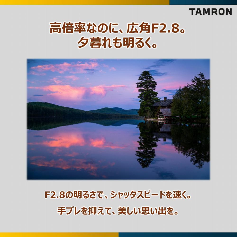 レビューでレンズキャッププレゼント  レンズ保護フィルター付！ タムロン 28-200mm F/2.8-5.6 Di III RXD ソニーEマウント用 A071