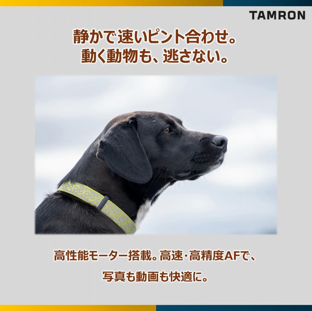 レビューでレンズキャッププレゼント  レンズ保護フィルター付！ タムロン 28-200mm F/2.8-5.6 Di III RXD ソニーEマウント用 A071
