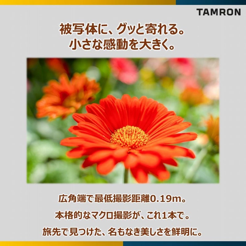 レビューでレンズキャッププレゼント  レンズ保護フィルター付！ タムロン 28-200mm F/2.8-5.6 Di III RXD ソニーEマウント用 A071