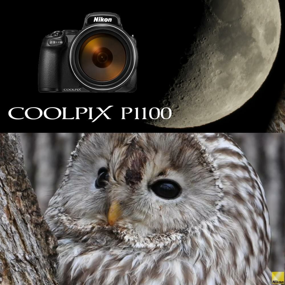 Nikon ニコン コンパクトデジタルカメラ COOLPIX P1000 クールピクス 1605万画素 手ブレ補正 高画質 3000mm相当 光学125倍 超望遠ズーム 4K動画撮影 RAW NRW 対応 野鳥撮影 月 惑星 天体