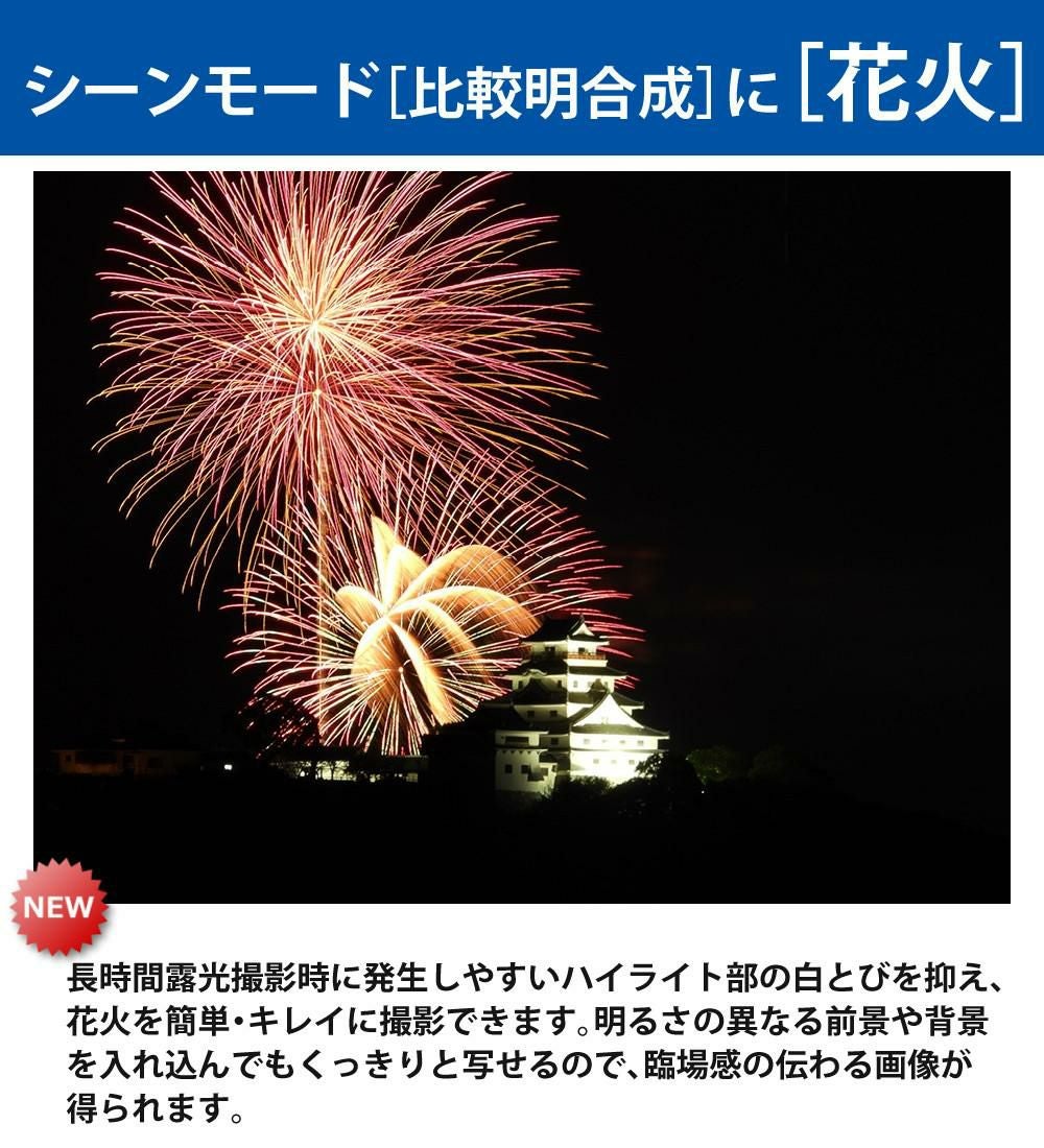 Nikon ニコン コンパクトデジタルカメラ COOLPIX P1000 クールピクス 1605万画素 手ブレ補正 高画質 3000mm相当 光学125倍 超望遠ズーム 4K動画撮影 RAW NRW 対応 野鳥撮影 月 惑星 天体