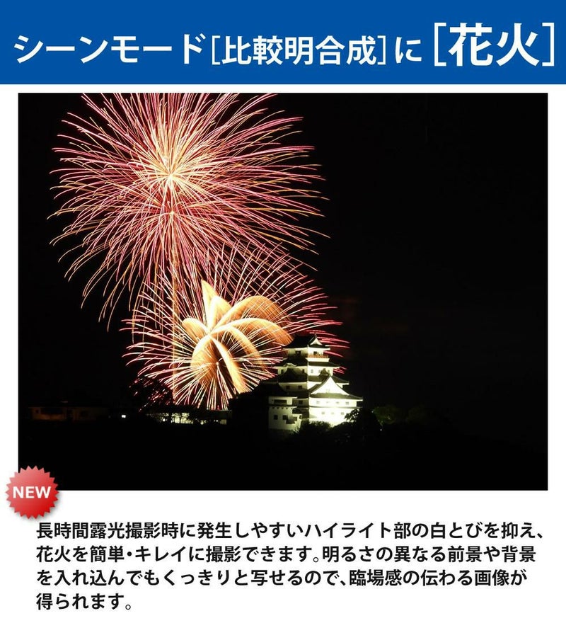 Nikon ニコン コンパクトデジタルカメラ COOLPIX P1000 クールピクス 1605万画素 手ブレ補正 高画質 3000mm相当 光学125倍 超望遠ズーム 4K動画撮影 RAW NRW 対応 野鳥撮影 月 惑星 天体