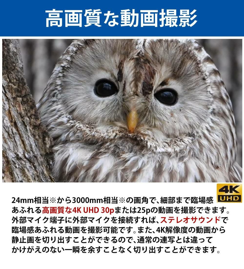 Nikon ニコン コンパクトデジタルカメラ COOLPIX P1000 クールピクス 1605万画素 手ブレ補正 高画質 3000mm相当 光学125倍 超望遠ズーム 4K動画撮影 RAW NRW 対応 野鳥撮影 月 惑星 天体