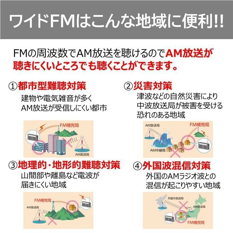 エコーカラオケが楽しめるマイク他付き 東芝 CDラジカセ TY-CDX91 S  シルバー SD/USB対応  ラッピング不可