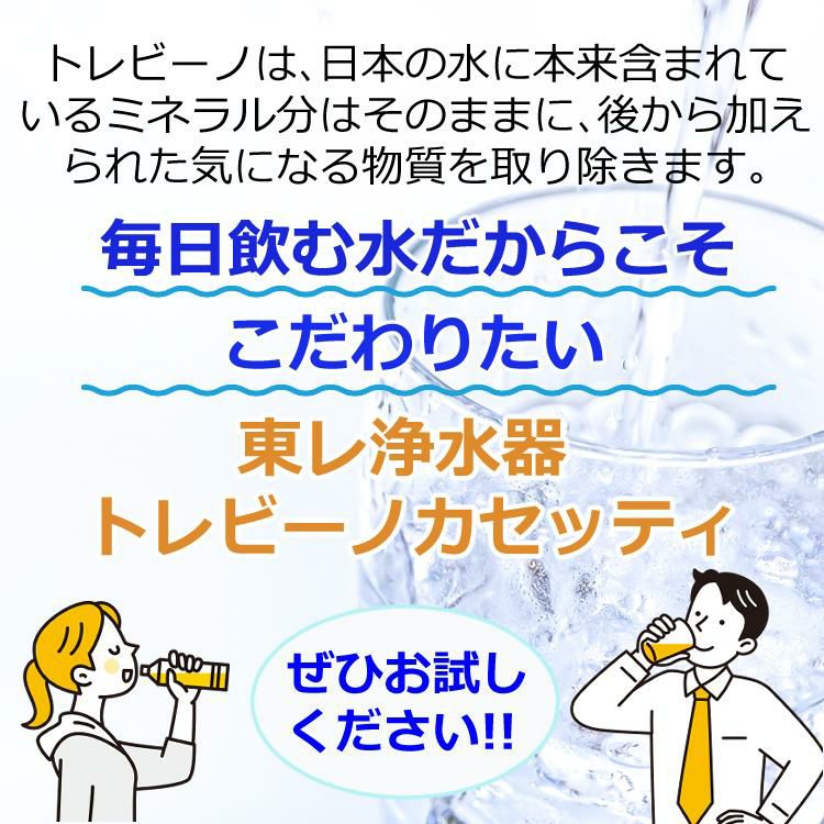 浄水器 東レ 浄水器 トレビーノ カセッティ MK206SMX 高除去タイプ 蛇口直結型 カートリッジ1個付 時短 浄水 節水 デジタル表記 洗えるキャップ 極細シャワー