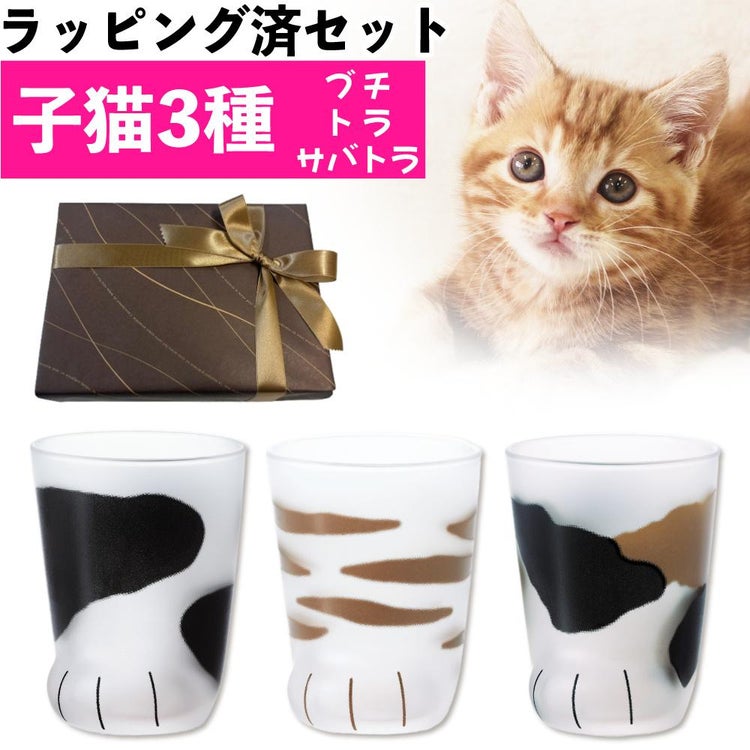 アデリア ここねこ coconeco 子猫 グラス 230ml ミケ トラ ブチ グラス3点セット 食洗機不可 猫柄ラッピング済み  熨斗対応不可
