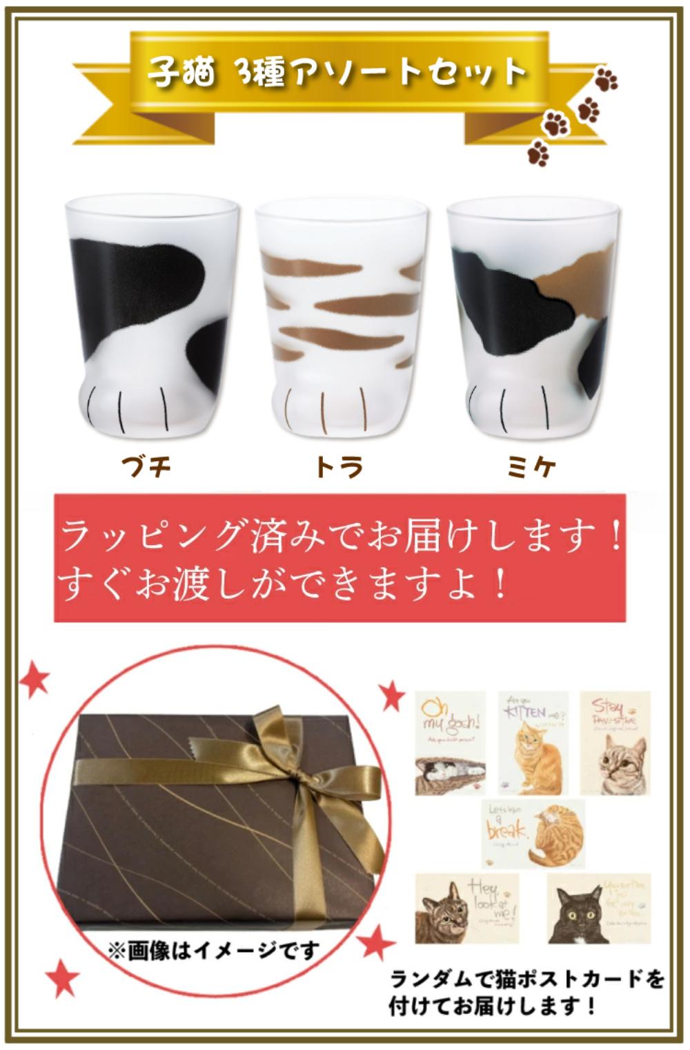 アデリア ここねこ coconeco 子猫 グラス 230ml ミケ トラ ブチ グラス3点セット 食洗機不可 猫柄ラッピング済み  熨斗対応不可