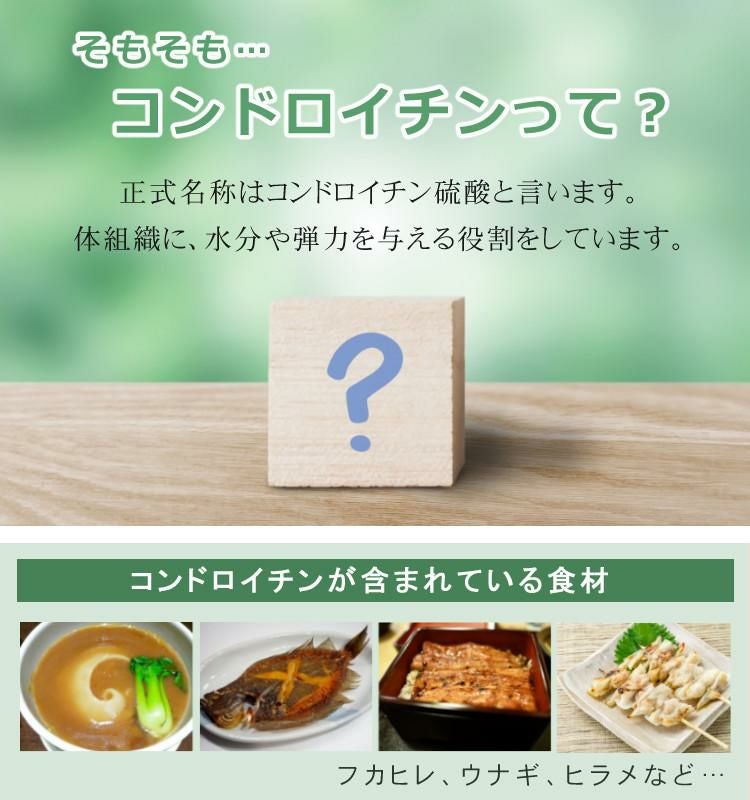 2袋まとめ コンドロイチン サプリメント NANOMEDICA ナノメディカ 高吸収性 ナノ型コンドロイチン 丸共バイオフーズ メール便可：2点まで  ラッピング不可