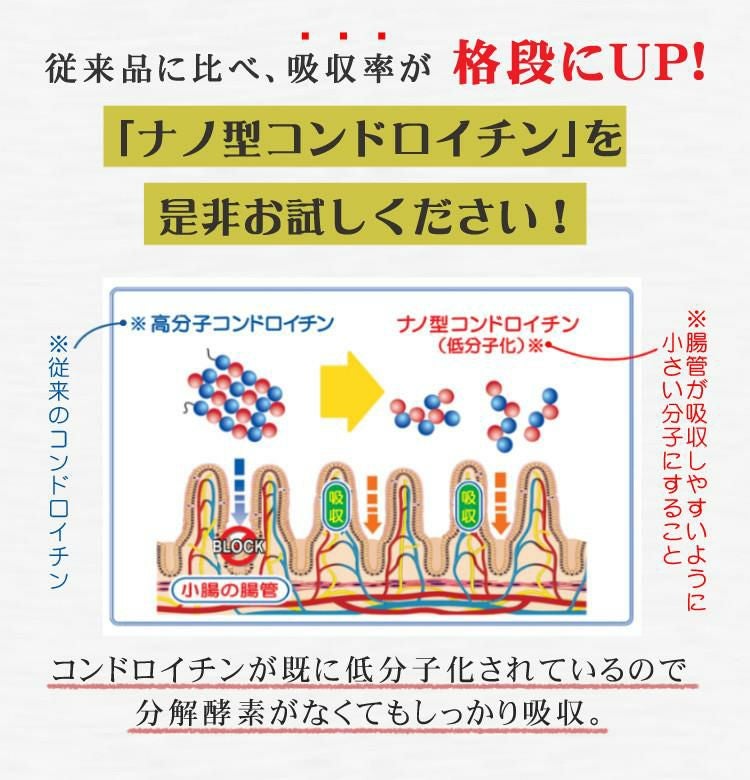 2袋まとめ コンドロイチン サプリメント NANOMEDICA ナノメディカ 高吸収性 ナノ型コンドロイチン 丸共バイオフーズ メール便可：2点まで  ラッピング不可