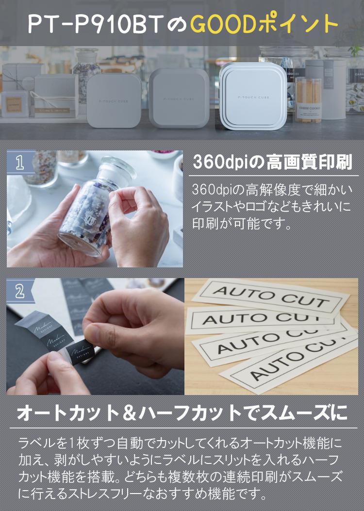 ブラザー PT-P910BT ピータッチキューブ/純正テープ Tze-231＆TZe-251 /アダプタ スマホ シール テープ  5点セット