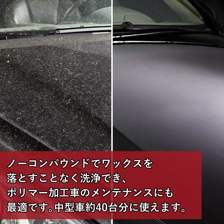 SONAX 自動車用 蓄圧式 フォームスプレーヤー 洗車4点セット ラッピング不可