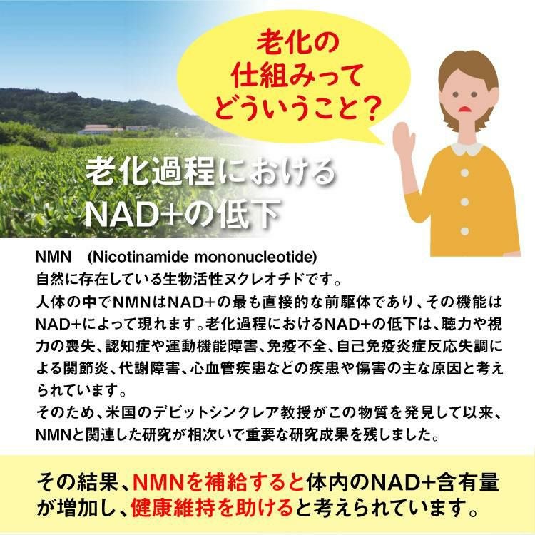 フェイスマスク 5枚入 ヴィオテール  NMN ビューティー フェイス マスク nmn エヌエムエヌ 健康 沖縄長生薬草