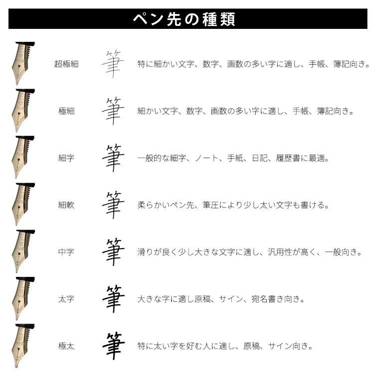 プラチナ万年筆 #3776 センチュリー PNB-15000 ＆ インクカートリッジ ＆ ひとことメモ ＆ マイクロファイバークロス2枚セット
