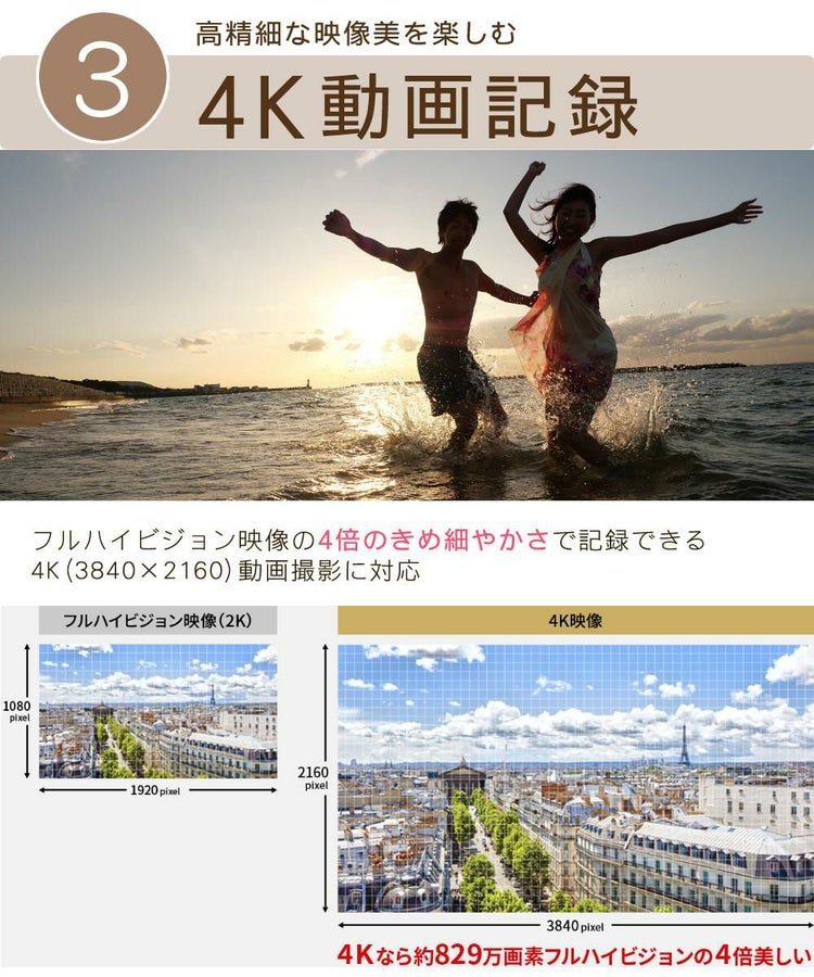 Panasonic パナソニック ミラーレス一眼カメラ LUMIX DC-G100DK-K ルミックス 標準ズームレンズキット