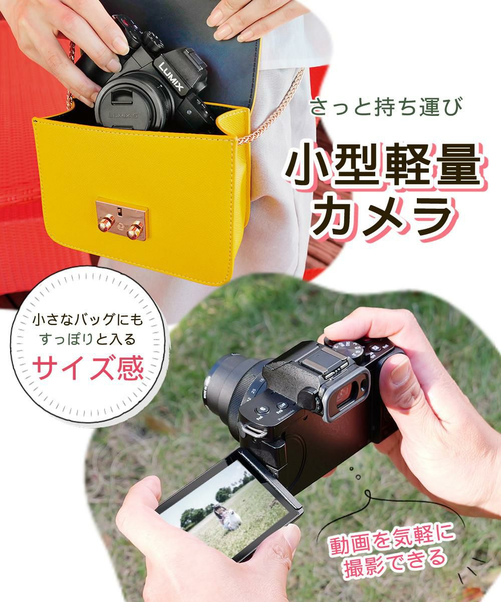Panasonic パナソニック ミラーレス一眼カメラ LUMIX DC-G100DW-K