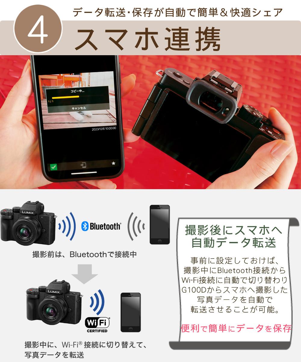 Panasonic パナソニック ミラーレス一眼カメラ LUMIX DC-G100DV-K 標準