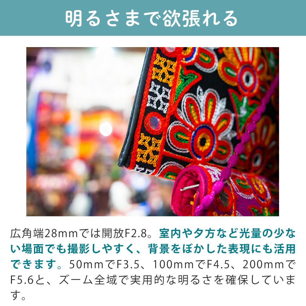 レビューでレンズキャッププレゼント  バッグ付き！ タムロン 28-200mm F/2.8-5.6 Di III RXD ソニーEマウント用 A071SF