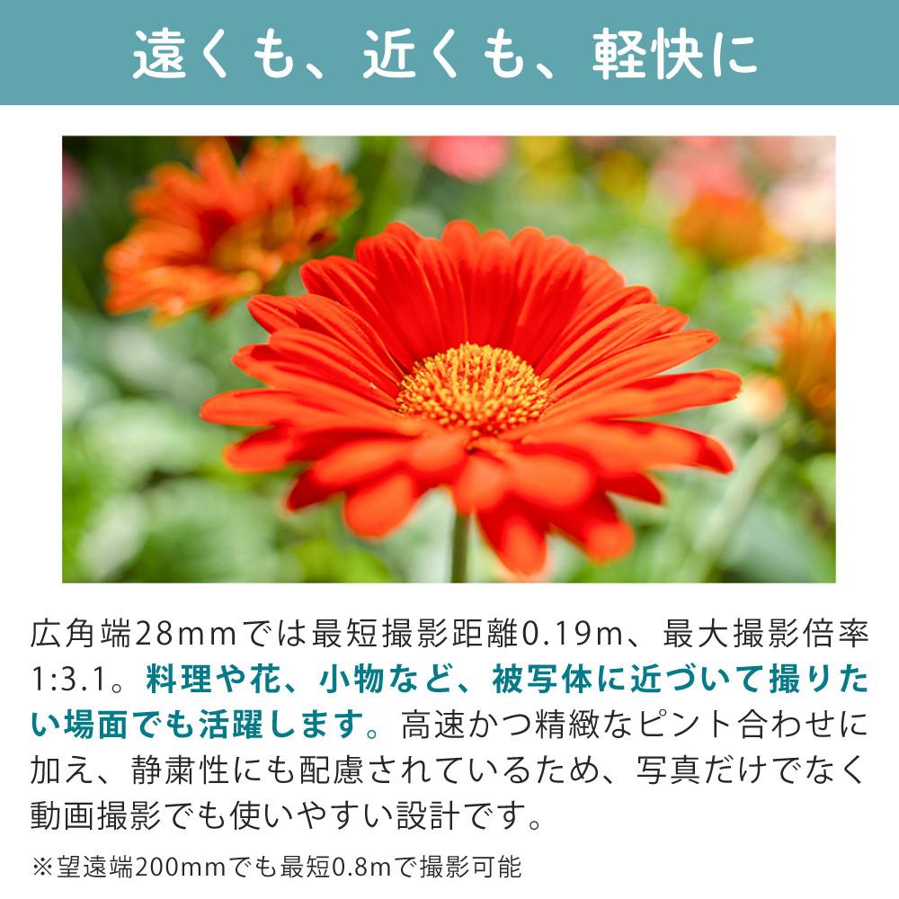 レビューでレンズキャッププレゼント  バッグ付き！ タムロン 28-200mm F/2.8-5.6 Di III RXD ソニーEマウント用 A071SF