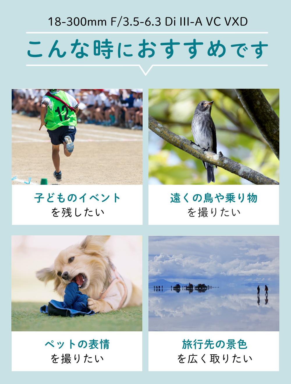 レビューでレンズキャッププレゼント  バッグ付き！ タムロン 18-300mm F3.5-6.3 Di III-A VC VXD ソニーEマウント用 B061S