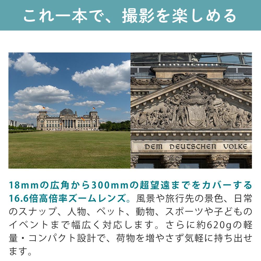 レビューでレンズキャッププレゼント  バッグ付き！ タムロン 18-300mm F3.5-6.3 Di III-A VC VXD ソニーEマウント用 B061S