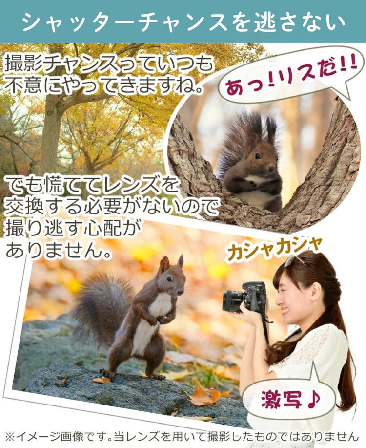 レビューでレンズキャッププレゼント  バッグ付き！ タムロン 18-300mm F3.5-6.3 Di III-A VC VXD ソニーEマウント用 B061S
